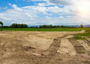 West Bengal Permits Govt Land Lessees